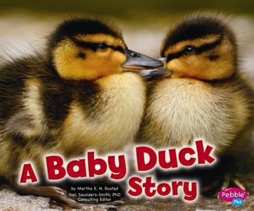 Baby duck story - baby, plus