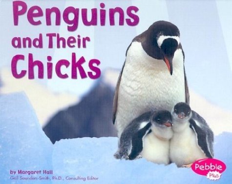 Penguins and their chicks - and,